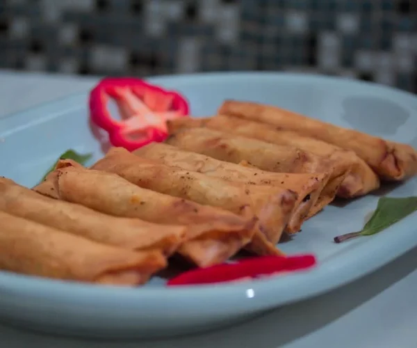 Spring-Rolls-de-vegetais-1024x682